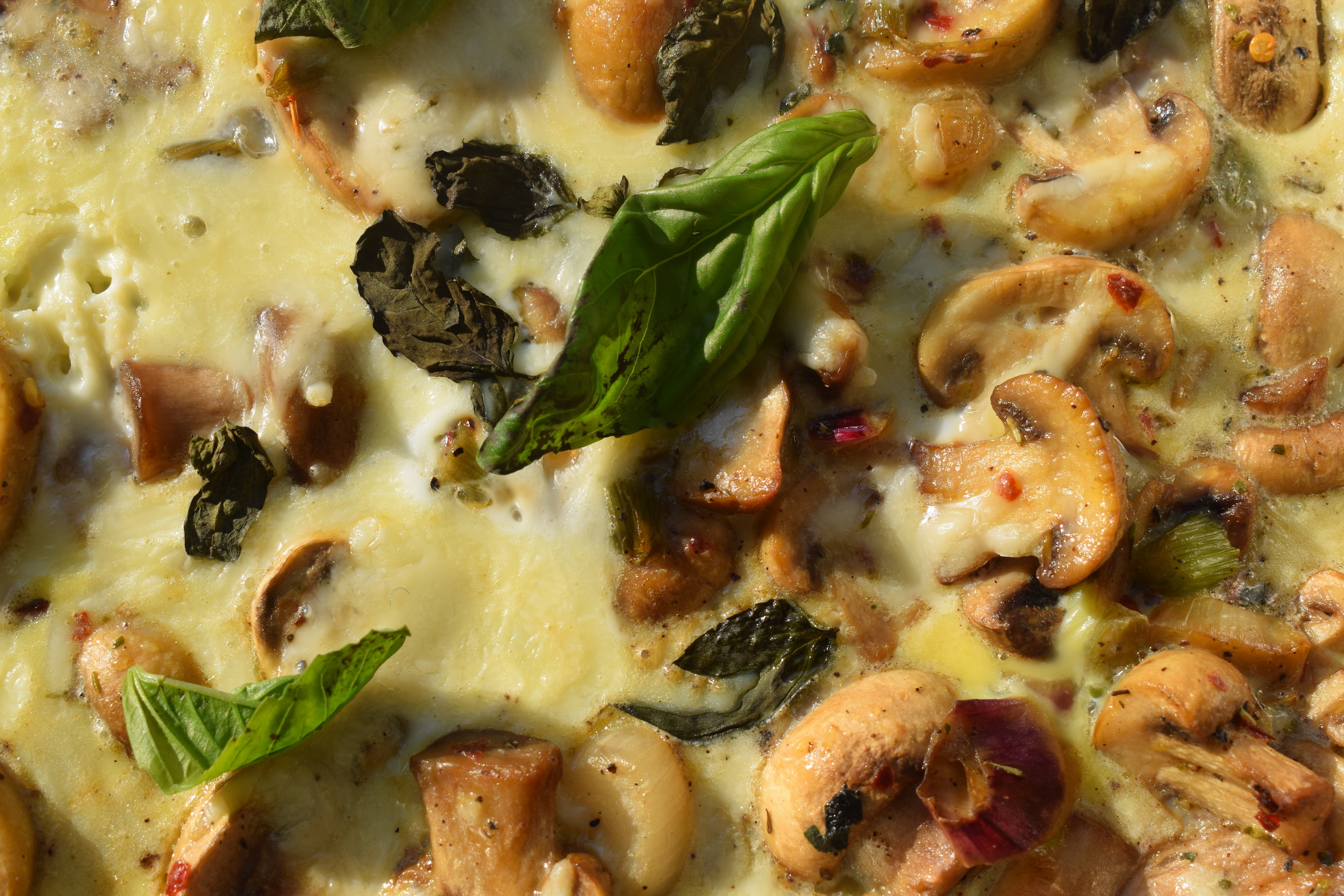 italian mushroom frittata